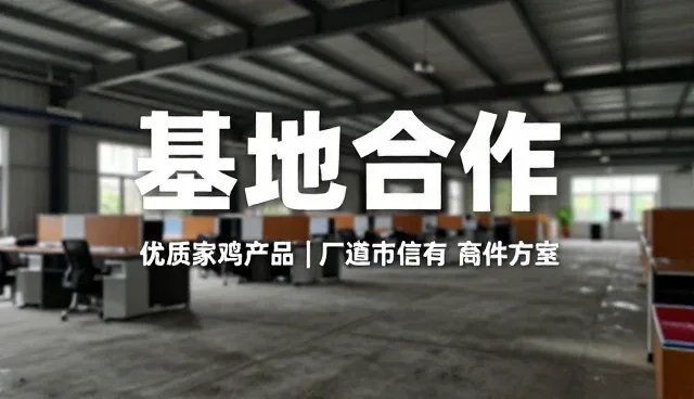 优化农产品供应链:提升配送效率的关键策略